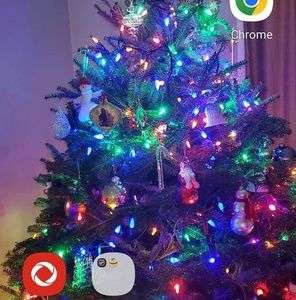 Meet your Posher, Desiree